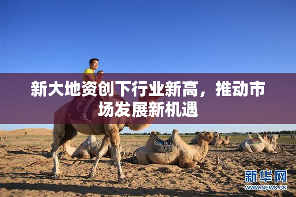 新大地资创下行业新高，推动市场发展新机遇