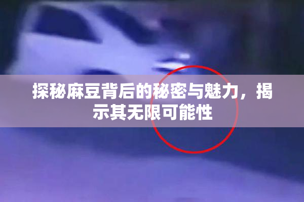 探秘麻豆背后的秘密与魅力，揭示其无限可能性