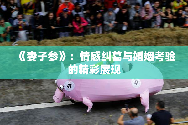 《妻子参》：情感纠葛与婚姻考验的精彩展现