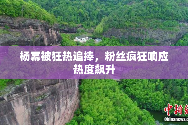杨幂被狂热追捧，粉丝疯狂响应热度飙升