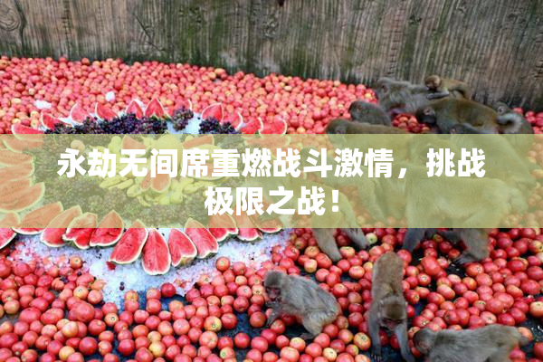 永劫无间席重燃战斗激情，挑战极限之战！