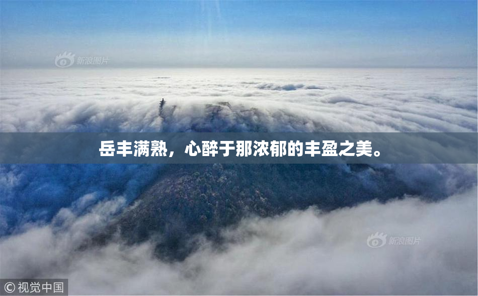 岳丰满熟，心醉于那浓郁的丰盈之美。