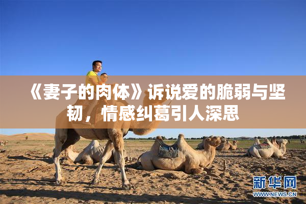 《妻子的肉体》诉说爱的脆弱与坚韧，情感纠葛引人深思