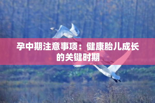 孕中期注意事项：健康胎儿成长的关键时期