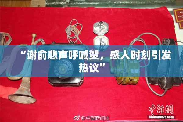“谢俞悲声呼喊贺，感人时刻引发热议”