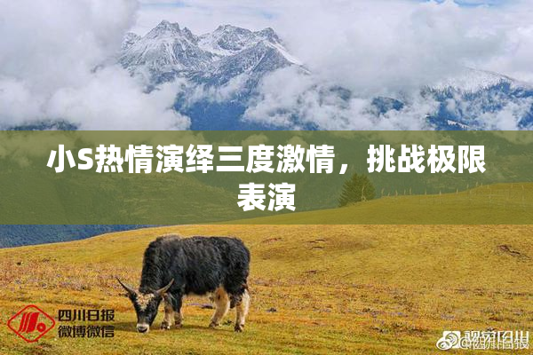 小S热情演绎三度激情，挑战极限表演