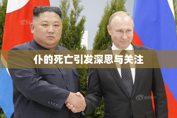仆的死亡引发深思与关注