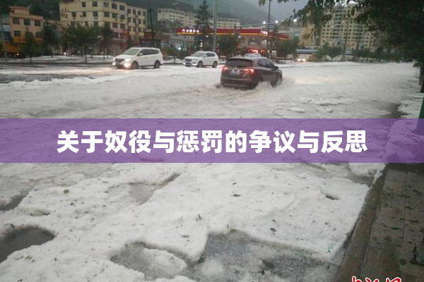 关于奴役与惩罚的争议与反思