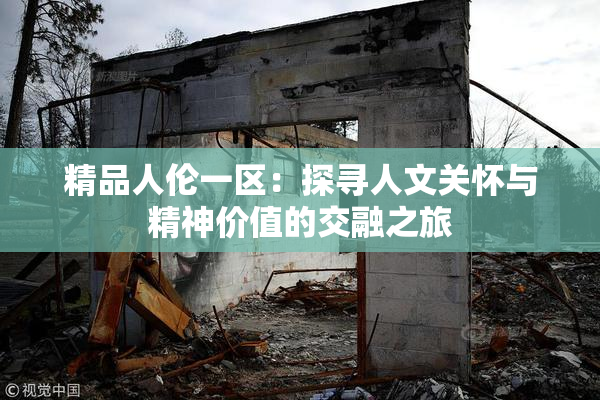 精品人伦一区：探寻人文关怀与精神价值的交融之旅