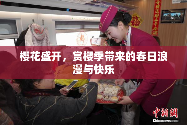 樱花盛开，赏樱季带来的春日浪漫与快乐