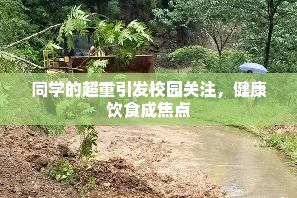 同学的超重引发校园关注，健康饮食成焦点