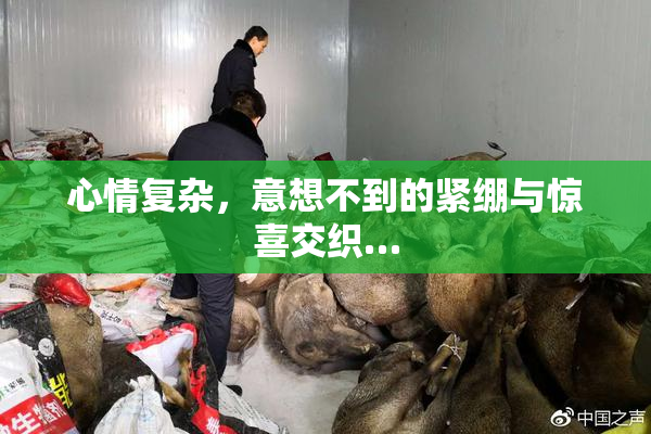 心情复杂，意想不到的紧绷与惊喜交织…