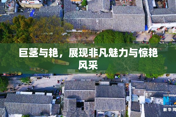 巨茎与艳，展现非凡魅力与惊艳风采