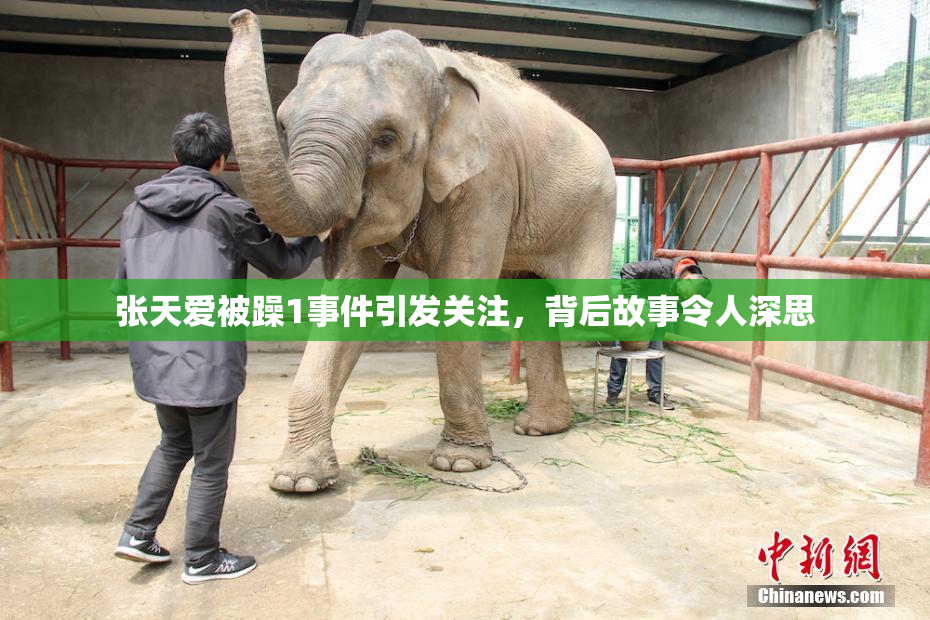 张天爱被躁1事件引发关注，背后故事令人深思