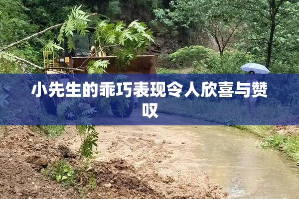 小先生的乖巧表现令人欣喜与赞叹