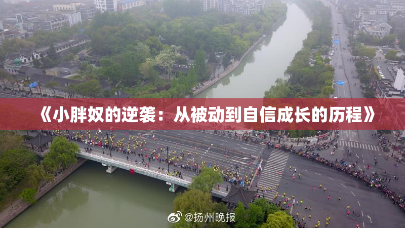 《小胖奴的逆袭：从被动到自信成长的历程》