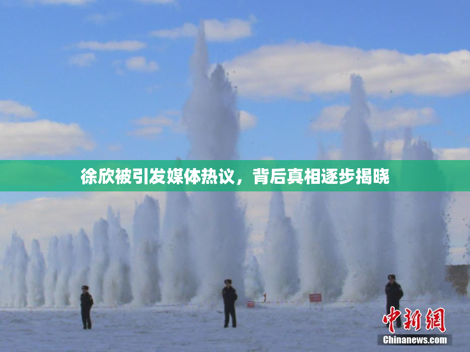 徐欣被引发媒体热议，背后真相逐步揭晓