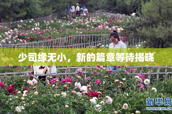 少司缘无小，新的篇章等待揭晓
