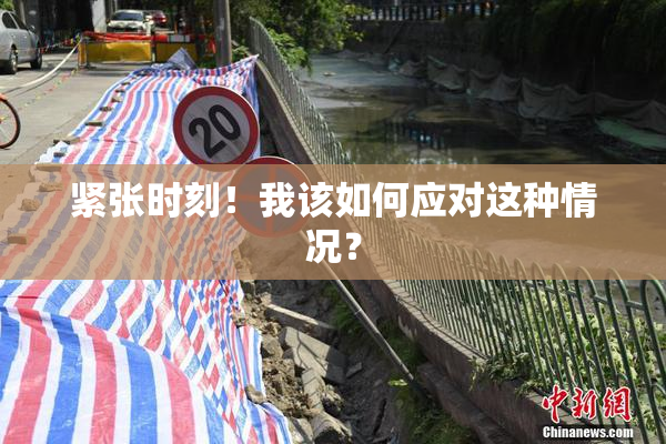 紧张时刻！我该如何应对这种情况？