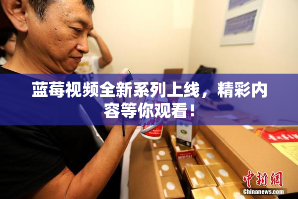 蓝莓视频全新系列上线，精彩内容等你观看！
