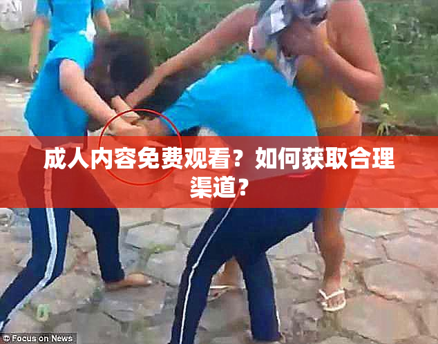 成人内容免费观看？如何获取合理渠道？