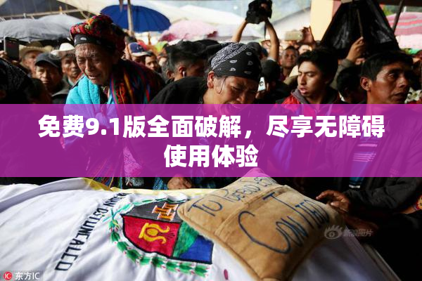 免费9.1版全面破解，尽享无障碍使用体验