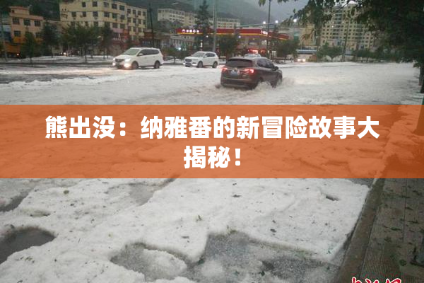熊出没：纳雅番的新冒险故事大揭秘！