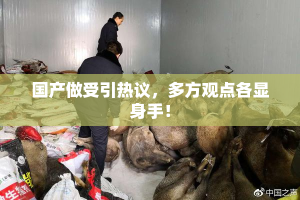 国产做受引热议，多方观点各显身手！