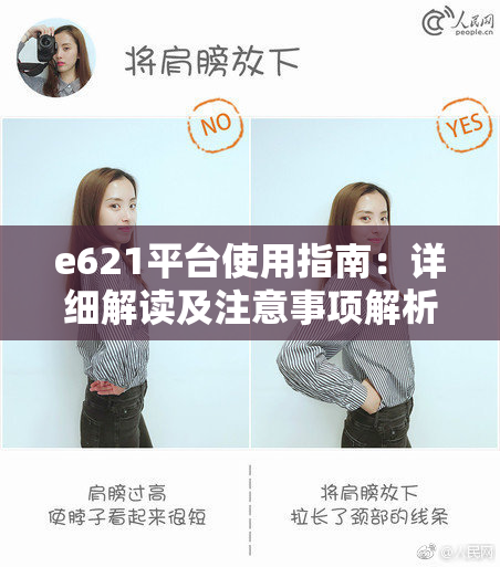 e621平台使用指南：详细解读及注意事项解析