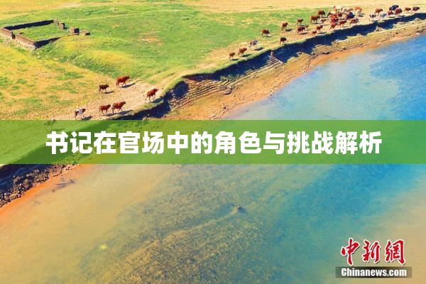 书记在官场中的角色与挑战解析