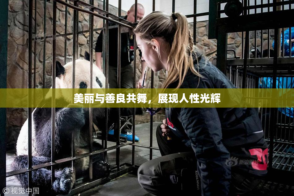 美丽与善良共舞，展现人性光辉