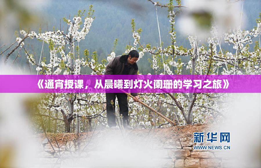 《通宵授课，从晨曦到灯火阑珊的学习之旅》