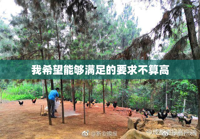 我希望能够满足的要求不算高