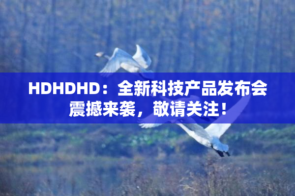 HDHDHD：全新科技产品发布会震撼来袭，敬请关注！