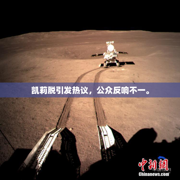 凯莉脱引发热议，公众反响不一。