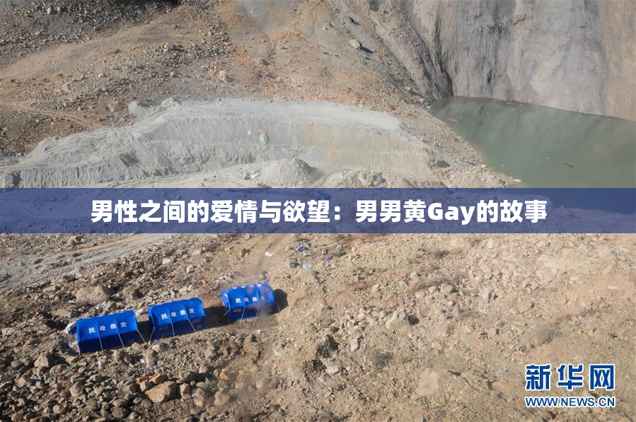 男性之间的爱情与欲望：男男黄Gay的故事