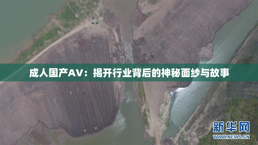 成人国产AV：揭开行业背后的神秘面纱与故事
