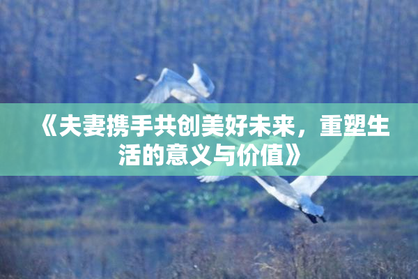 《夫妻携手共创美好未来，重塑生活的意义与价值》