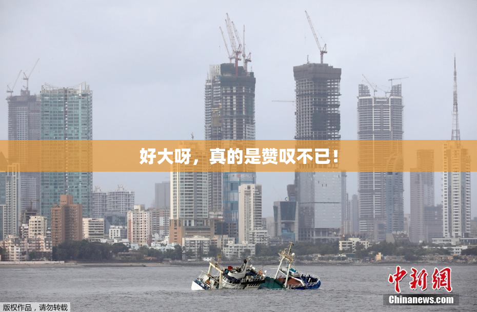 好大呀，真的是赞叹不已！