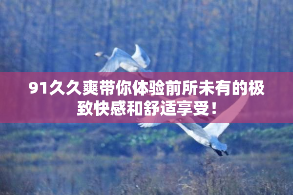 91久久爽带你体验前所未有的极致快感和舒适享受！