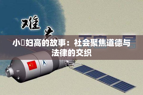 小婬妇高的故事：社会聚焦道德与法律的交织