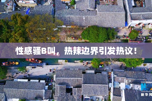 性感骚B叫，热辣边界引发热议！