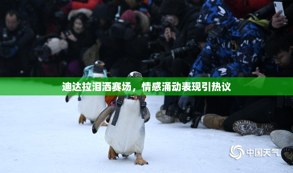 迪达拉泪洒赛场，情感涌动表现引热议