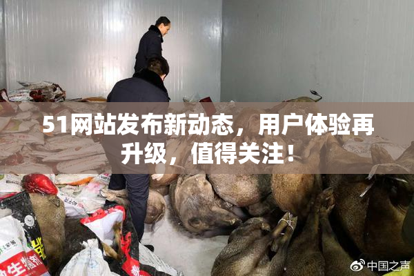 51网站发布新动态，用户体验再升级，值得关注！