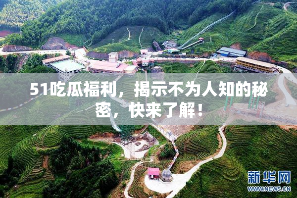 51吃瓜福利，揭示不为人知的秘密，快来了解！