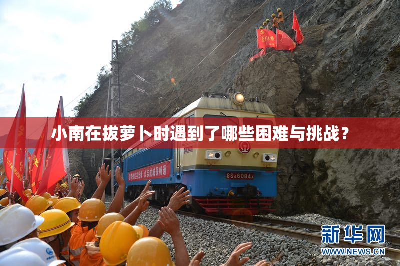 小南在拔萝卜时遇到了哪些困难与挑战？