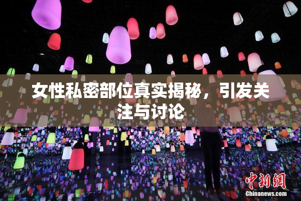 女性私密部位真实揭秘，引发关注与讨论