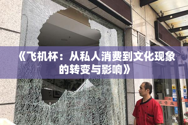《飞机杯：从私人消费到文化现象的转变与影响》
