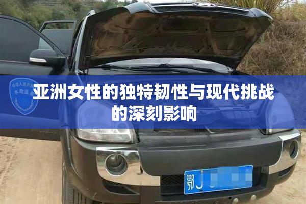 亚洲女性的独特韧性与现代挑战的深刻影响