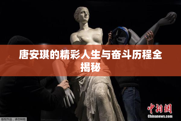 唐安琪的精彩人生与奋斗历程全揭秘